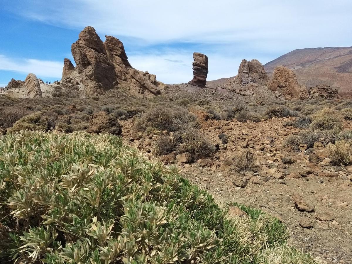Tenerife Playa La Arena Puerto de Santiago  Dış mekan fotoğraf